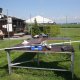 20130607_rentnerfliegen (2)